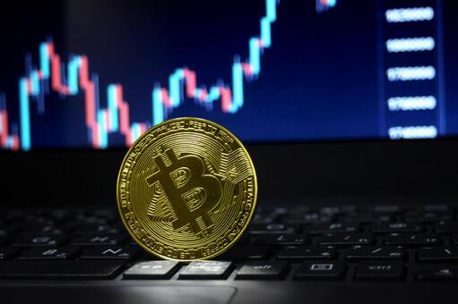 金融系メディア